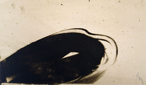 Lavis – Encre de chine et brou de noix 28 x 48 cm, Été 1986.